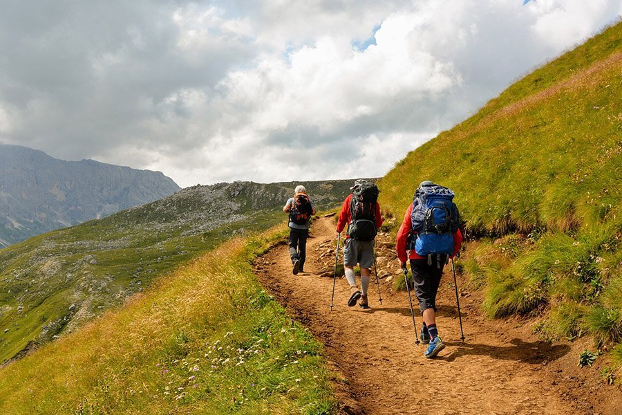 Hikers with poles