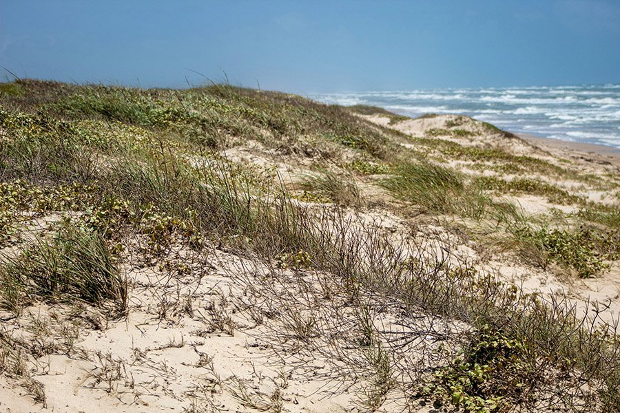 Padre Island National Seashore