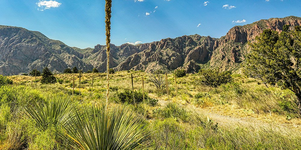 Texas wilderness