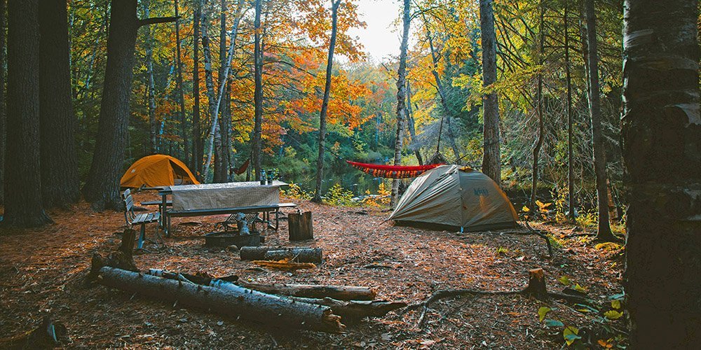 Camping setup in the woods