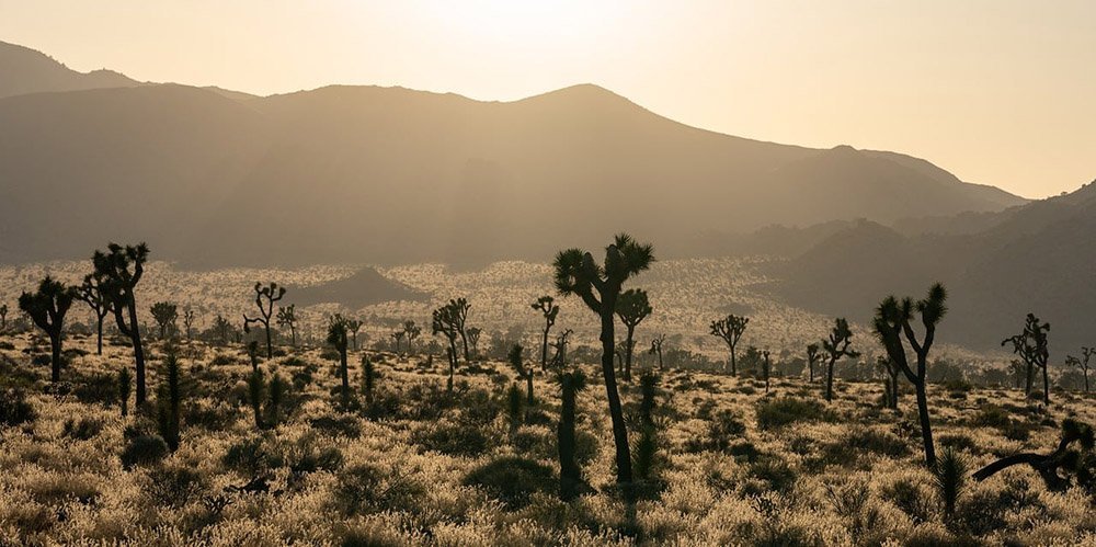 Southern California camping