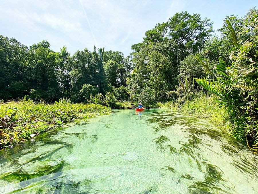 Kayaking near Jacksonville