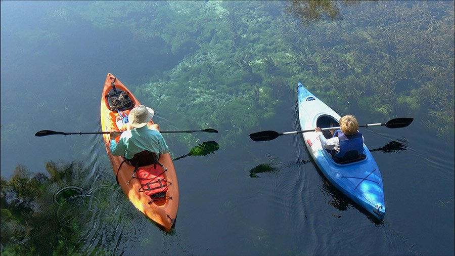 Kayaking on clear water in Florida