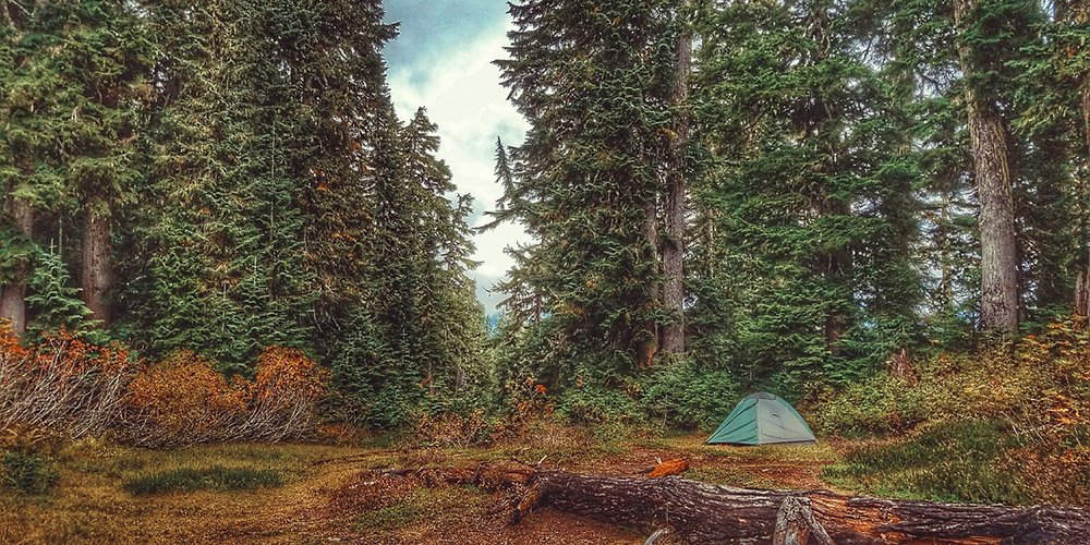 camping in the woods