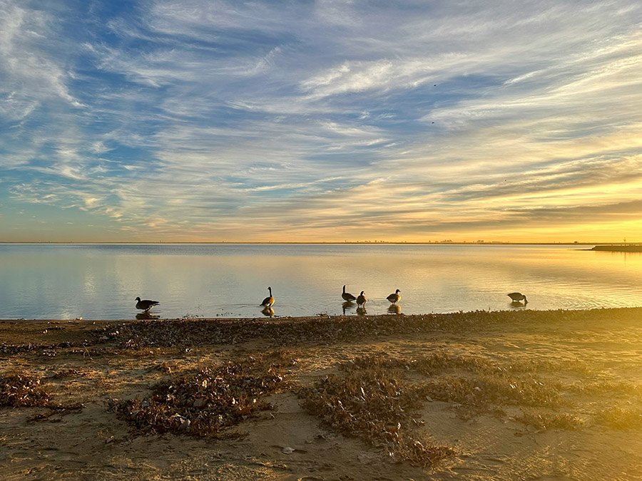 Lake Lewisville